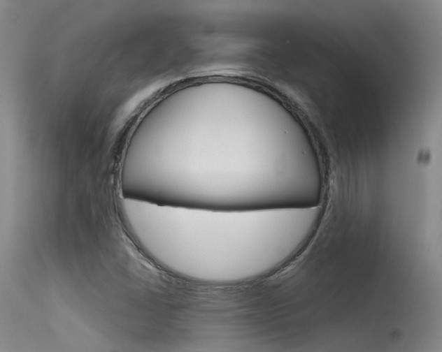 X0000115531406200911061117