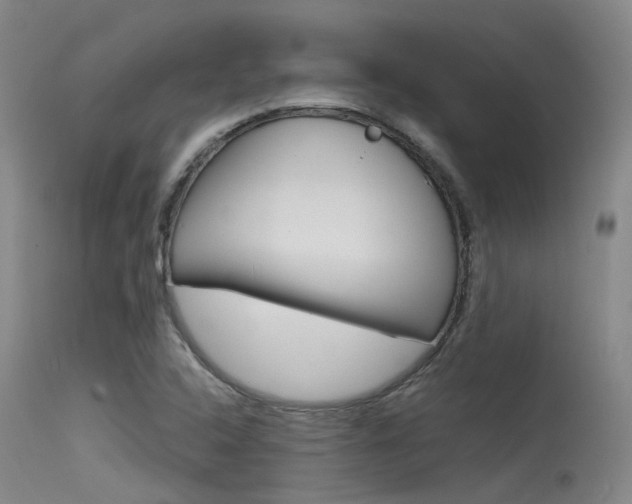 X0000115531408200911061117