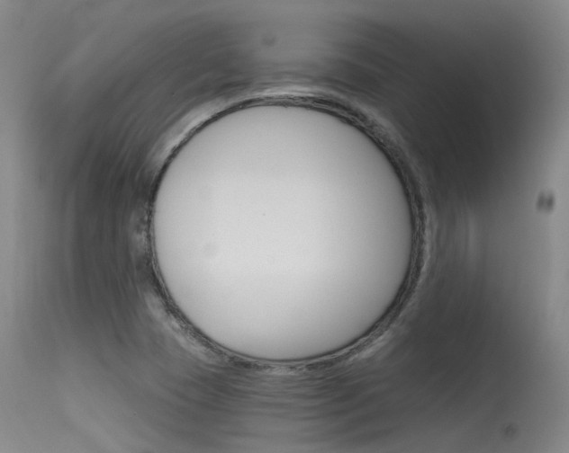 X0000115531409200911061117