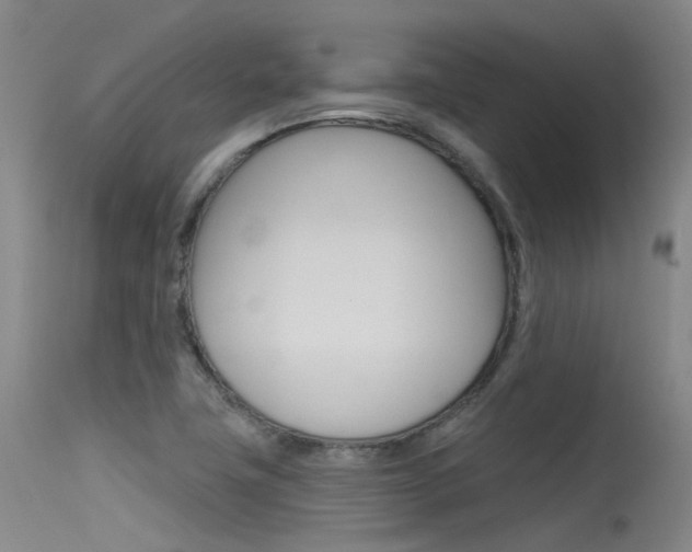 X0000115531411200911061117