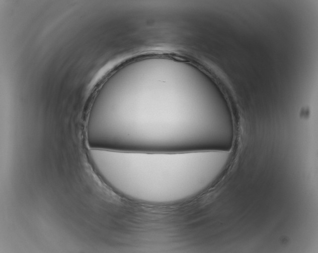 X0000115531412200911061117