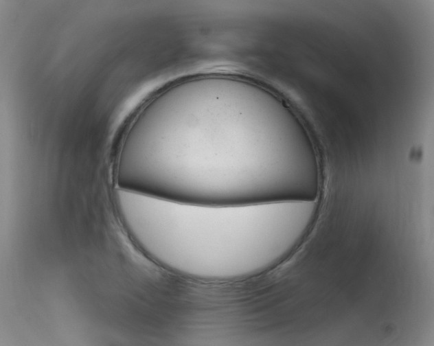 X0000115531414200911061117