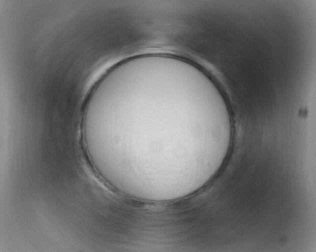 X0000115531415200911061117