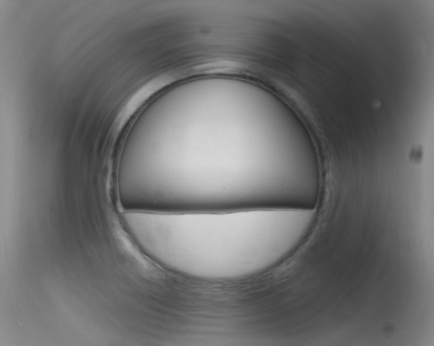 X0000115531418200911061117