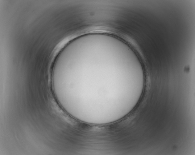X0000115531419200911061117
