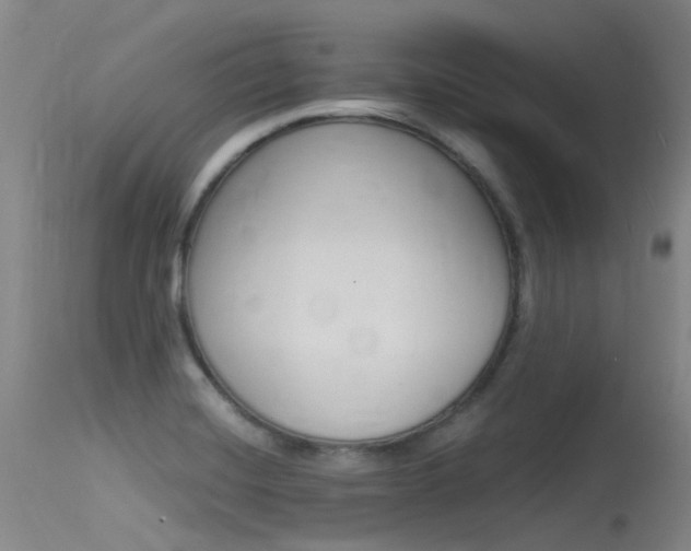 X0000115531420200911061117