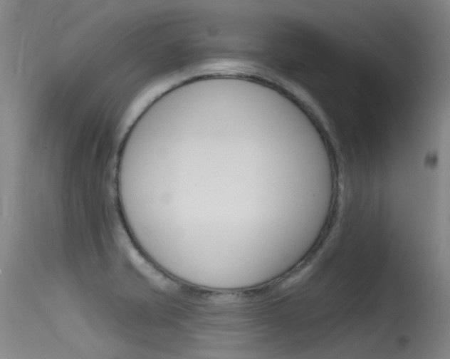 X0000115531421200911061117