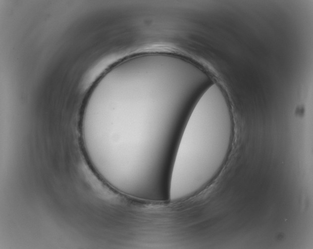 X0000115531422200911061117