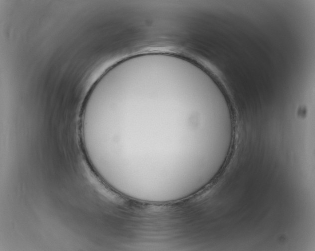 X0000115531423200911061117