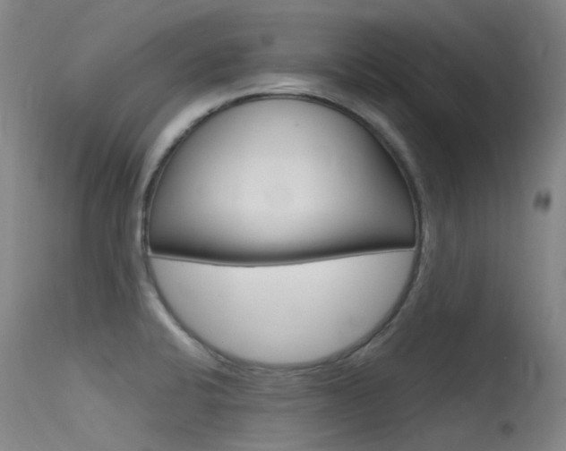 X0000115531424200911061117