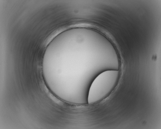 X0000115531425200911061117