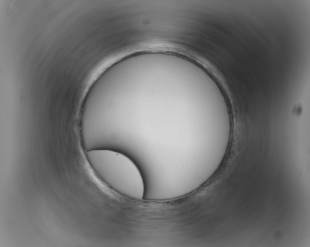 X0000115531429200911061117