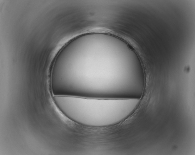 X0000115531430200911061117