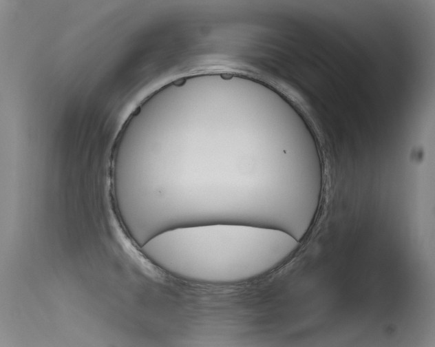X0000115531431200911061117