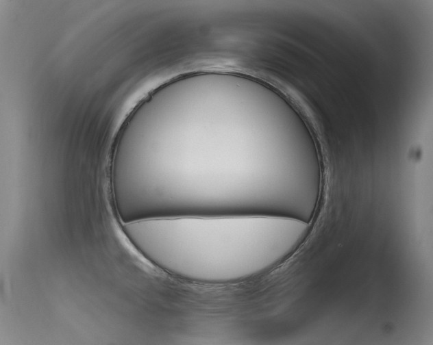 X0000115531432200911061117