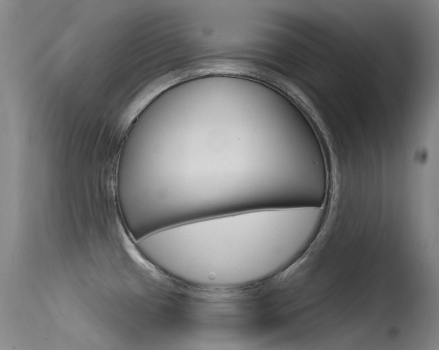 X0000115531433200911061117