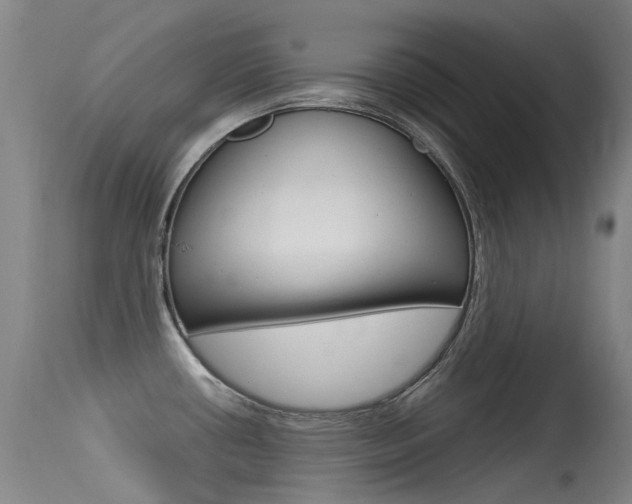 X0000115531434200911061117
