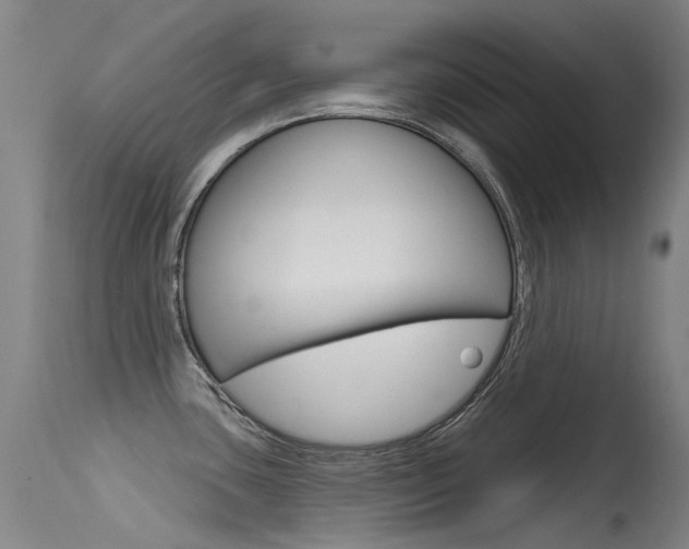 X0000115531435200911061117