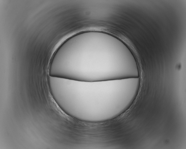 X0000115531436200911061117