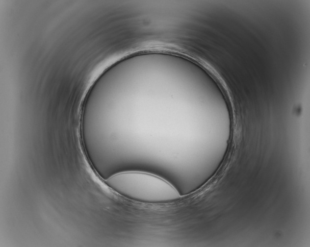 X0000115531437200911061117