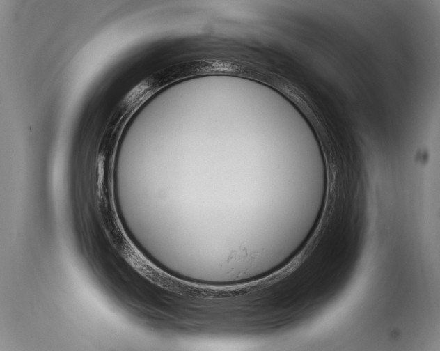 X0000115531439200911061117