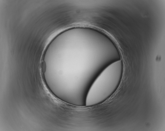 X0000115531440200911061117