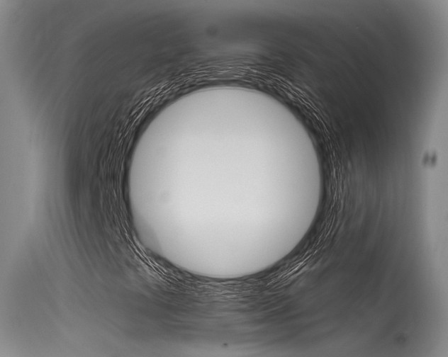 X0000115531441200911061116