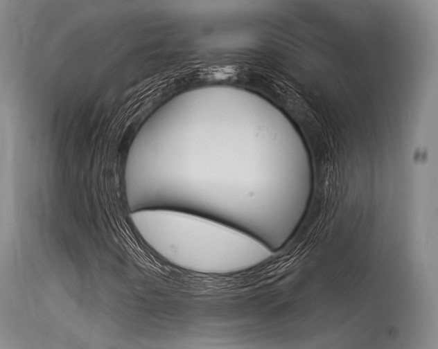 X0000115531442200911061116