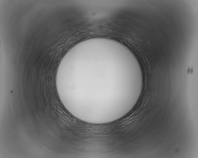 X0000115531443200911061116