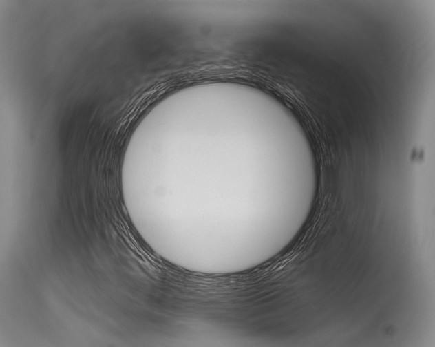 X0000115531444200911061116