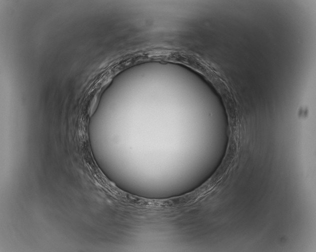 X0000115531445200911061116