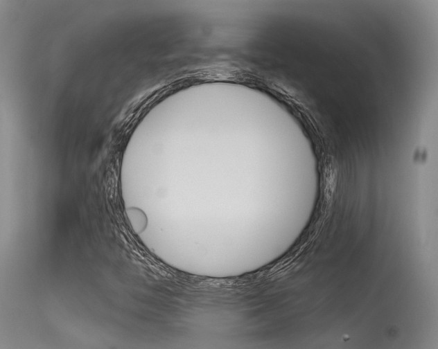 X0000115531446200911061116