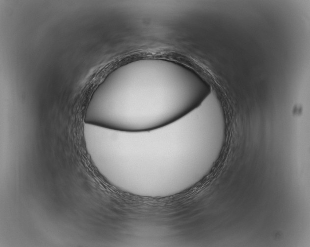 X0000115531447200911061116