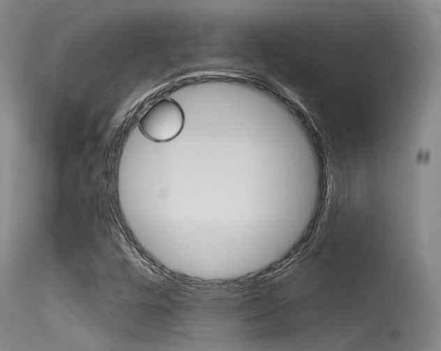 X0000115531448200911061116