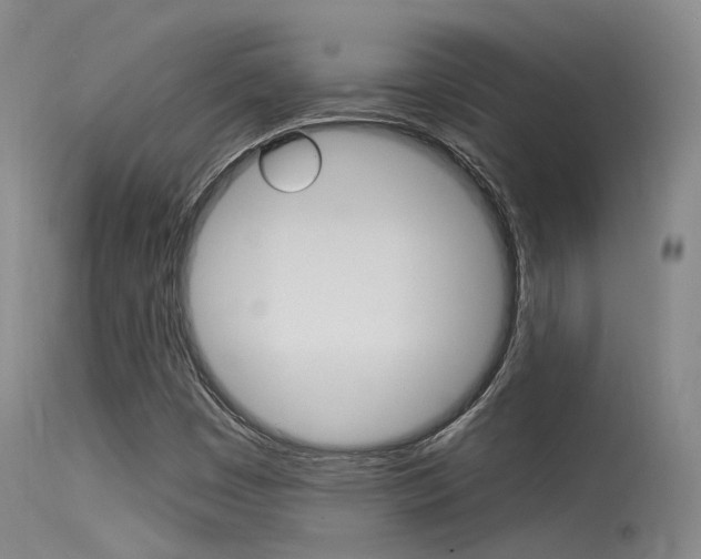 X0000115531449200911061116