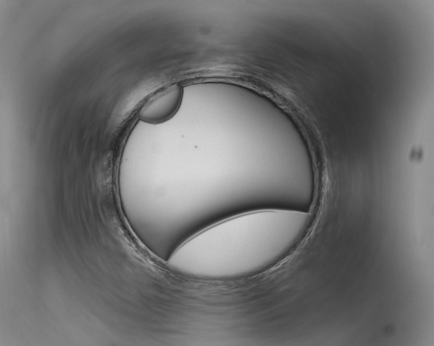 X0000115531450200911061116