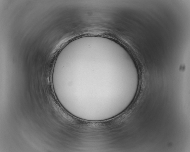 X0000115531451200911061116