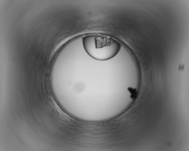 X0000115531452200911061116