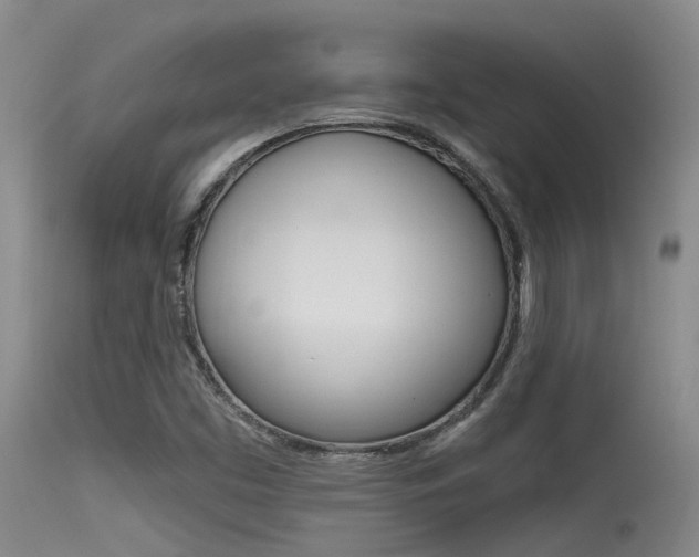 X0000115531453200911061116