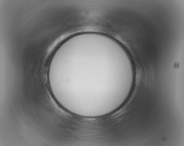 X0000115531454200911061116
