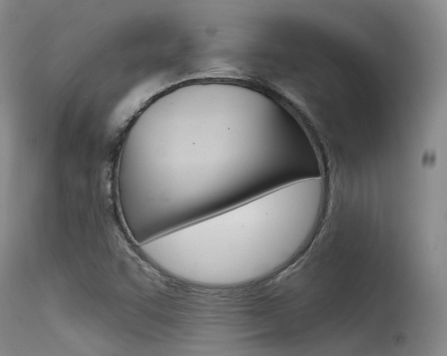 X0000115531455200911061116