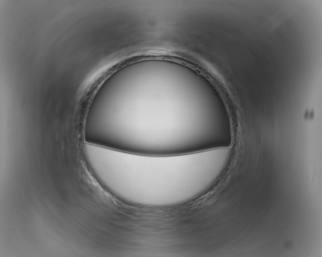 X0000115531456200911061116