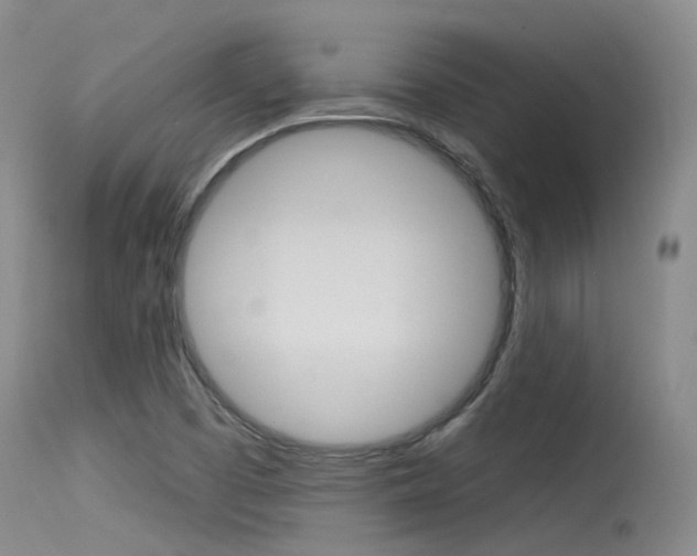 X0000115531457200911061116