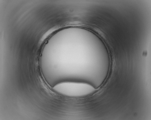 X0000115531458200911061116