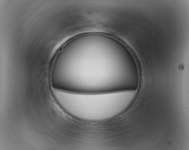 X0000115531460200911061116