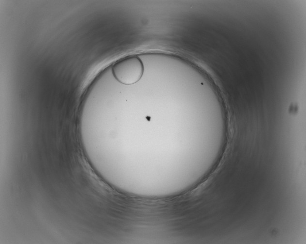X0000115531461200911061116