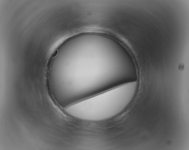 X0000115531463200911061116