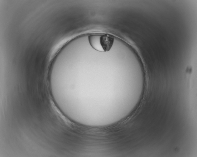 X0000115531464200911061116