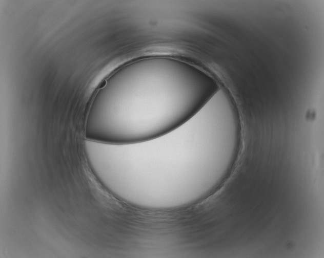 X0000115531465200911061116