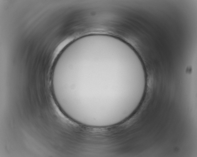 X0000115531466200911061116